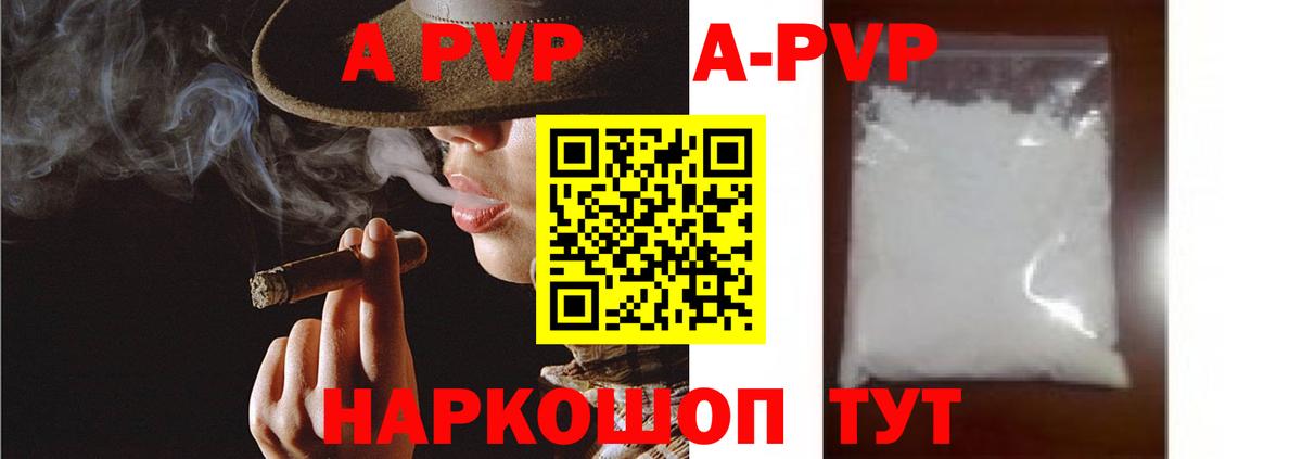 Alfa_PVP СК КРИС Сосновый Бор