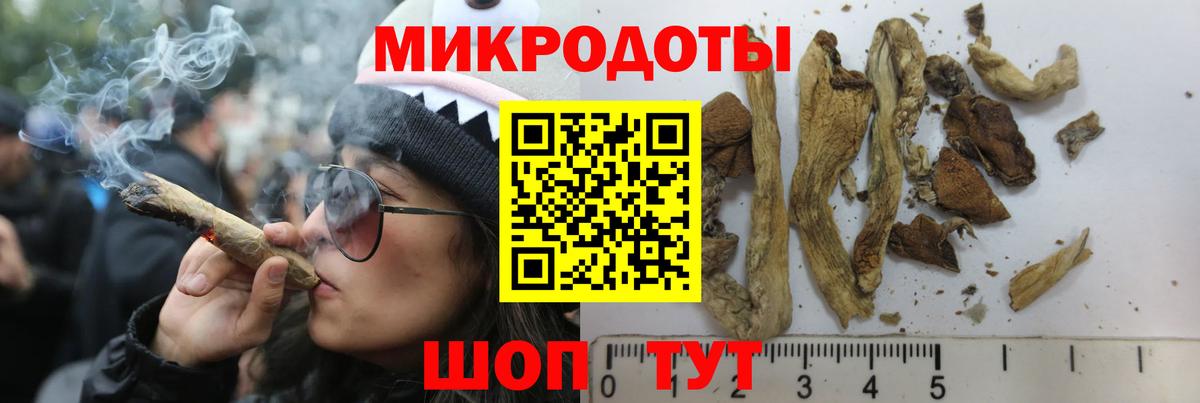 наркотики  Псилоцибиновые грибы Psilocybe  Вход с VPN  Сосновый Бор  Псилоцибиновые грибы мухоморы 